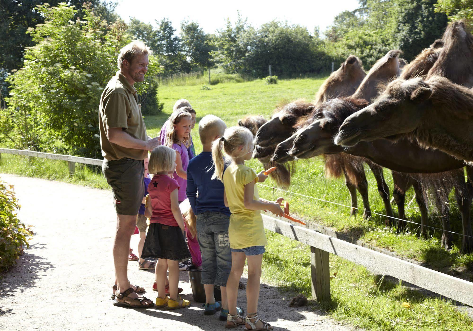 Givskud Zoo Hostel Luaran gambar